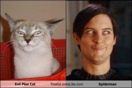 Ünlülerin komik benzerlikleri