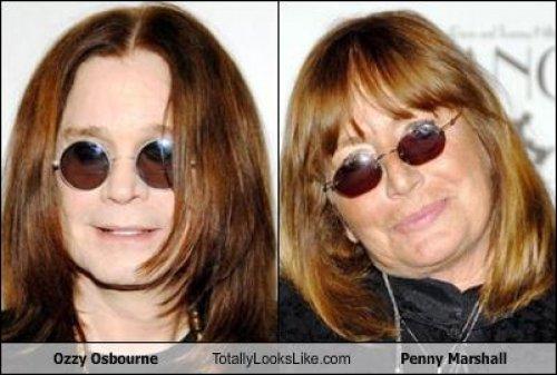 Ünlülerin komik benzerlikleri