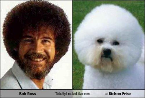 Ünlülerin komik benzerlikleri