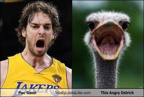 Ünlülerin komik benzerlikleri