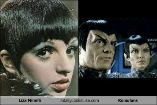 Ünlülerin komik benzerlikleri