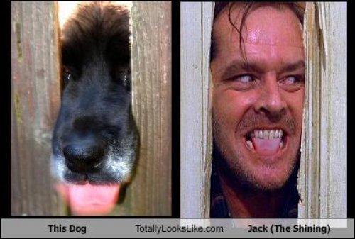 Ünlülerin komik benzerlikleri