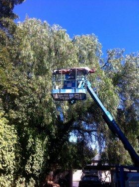 Yeni moda eylem: Planking - Resim 14