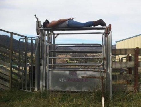 Yeni moda eylem: Planking - Resim 69