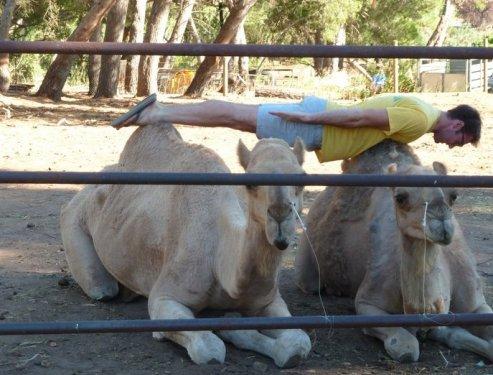 Yeni moda eylem: Planking - Resim 76