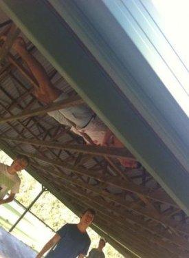 Yeni moda eylem: Planking - Resim 67