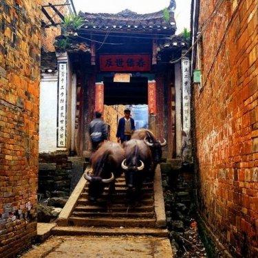 İnternetin en çılgın fotoğrafları