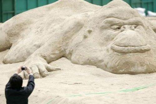 İnternetin en çılgın fotoğrafları