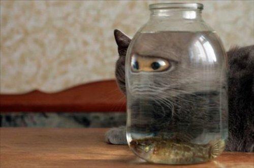 İnternetin en çılgın fotoğrafları