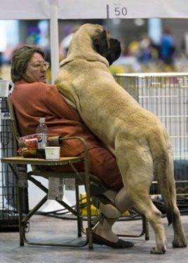 İnternetin en çılgın fotoğrafları