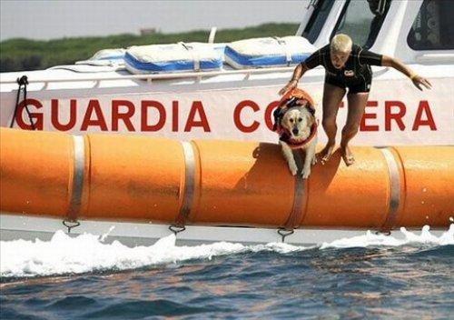 İnternetin en çılgın fotoğrafları