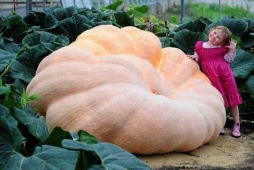 İnternetin en çılgın fotoğrafları