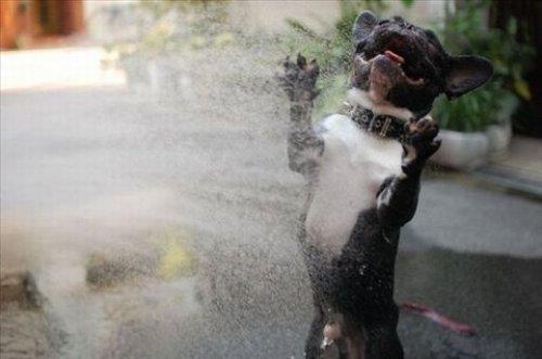 İnternetin en çılgın fotoğrafları