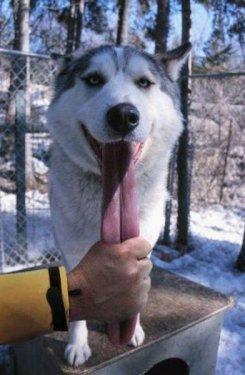 İnternetin en çılgın fotoğrafları