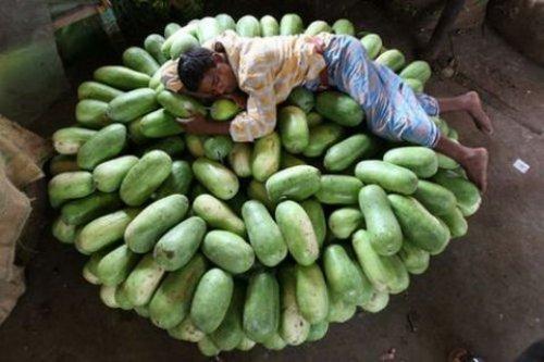 İnternetin en çılgın fotoğrafları