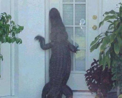 İnternetin en çılgın fotoğrafları