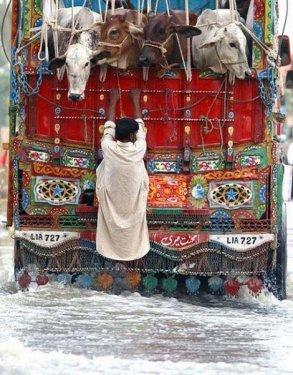 İnternetin en çılgın fotoğrafları