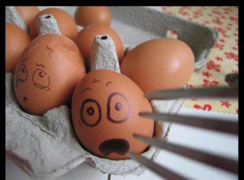 İnternetin en çılgın fotoğrafları