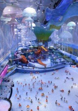 İnternetin en çılgın fotoğrafları