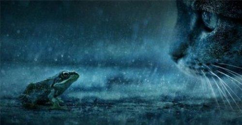 İnternetin en çılgın fotoğrafları