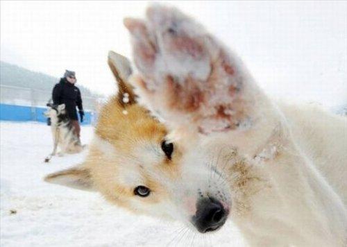 İnternetin en çılgın fotoğrafları