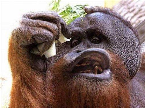 İnternetin en çılgın fotoğrafları