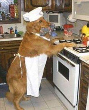 İnternetin en çılgın fotoğrafları