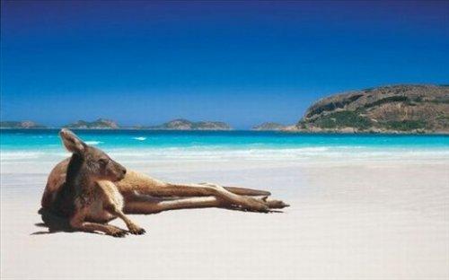 İnternetin en çılgın fotoğrafları