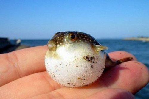 İnternetin en çılgın fotoğrafları