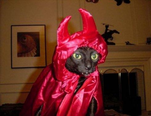 İnternetin en çılgın fotoğrafları