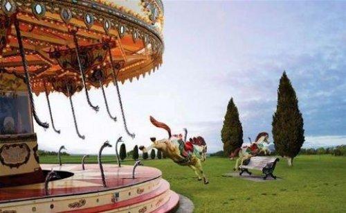 İnternetin en çılgın fotoğrafları