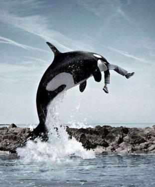 İnternetin en çılgın fotoğrafları