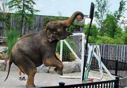 İnternetin en çılgın fotoğrafları