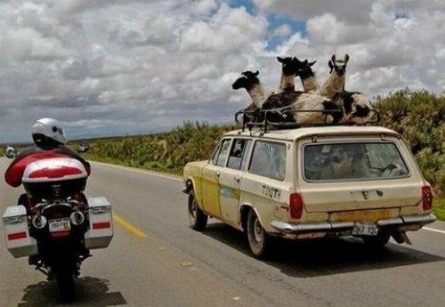 İnternetin en çılgın fotoğrafları