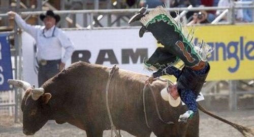 İnternetin en çılgın fotoğrafları