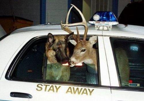 İnternetin en çılgın fotoğrafları