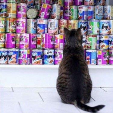 İnternetin en çılgın fotoğrafları