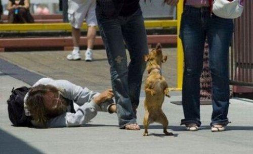 İnternetin en çılgın fotoğrafları