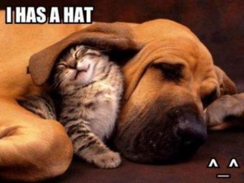 İnternetin en çılgın fotoğrafları