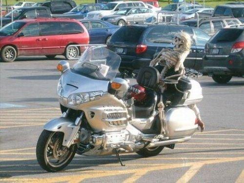 İnternetin en çılgın fotoğrafları