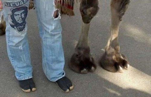 İnternetin en çılgın fotoğrafları