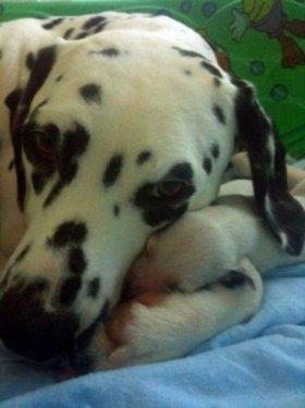 İnternetin en çılgın fotoğrafları