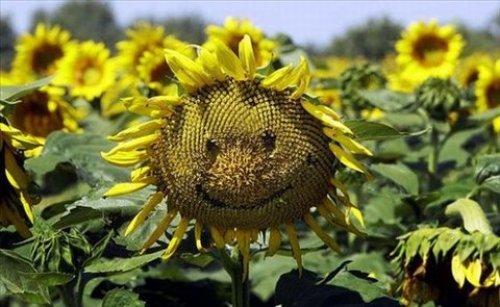 İnternetin en çılgın fotoğrafları