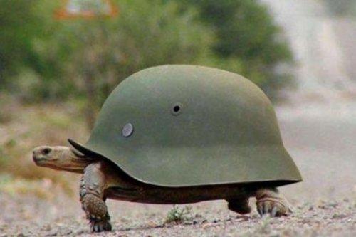 İnternetin en çılgın fotoğrafları