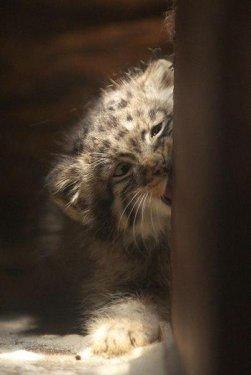 İnternetin en çılgın fotoğrafları