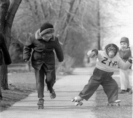 İnternetin en çılgın fotoğrafları