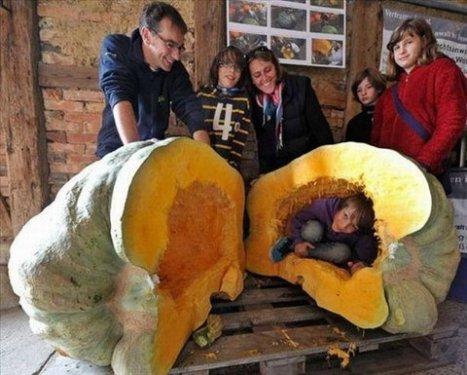 İnternetin en çılgın fotoğrafları