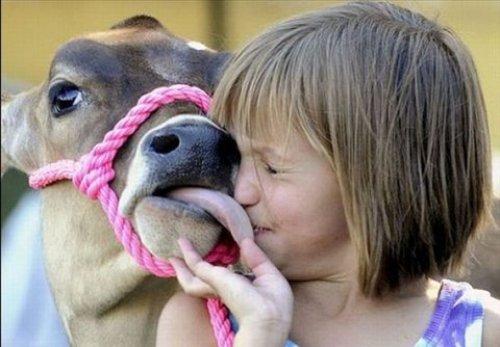 İnternetin en çılgın fotoğrafları