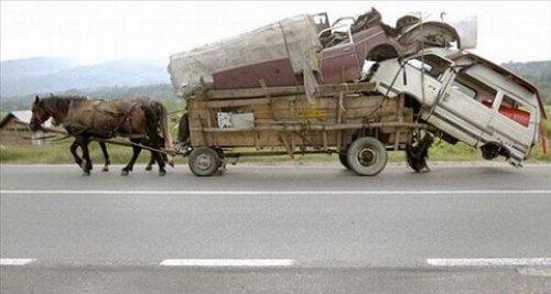 İnternetin en çılgın fotoğrafları