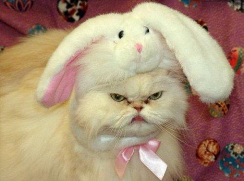 İnternetin en çılgın fotoğrafları